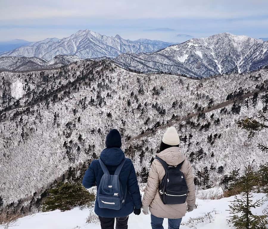 Seoul: Nami, Rail Bike, Morning Garden (+Healing Park) - Nami Island gives you 3.5 hours to wander