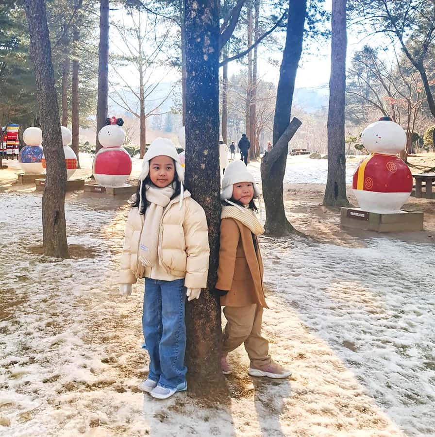 Seoul: Nami, Rail Bike, Morning Garden (+Healing Park) - Is $65 good value?