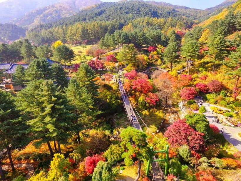Seoul: Pocheon Art Valley, Garden and Fruit Picking Day Tour - Pocheon Art Valley turns an old quarry into a scenic stop
