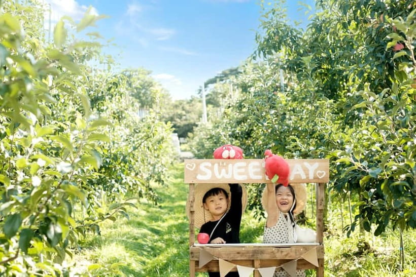 Seoul: Pocheon Art Valley, Garden and Fruit Picking Day Tour - Who will get the most from this tour?