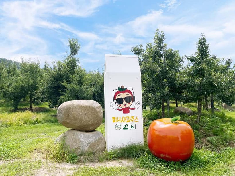 Seoul: Pocheon Art Valley, Garden and Fruit Picking Day Tour - Should you book this Pocheon day trip?