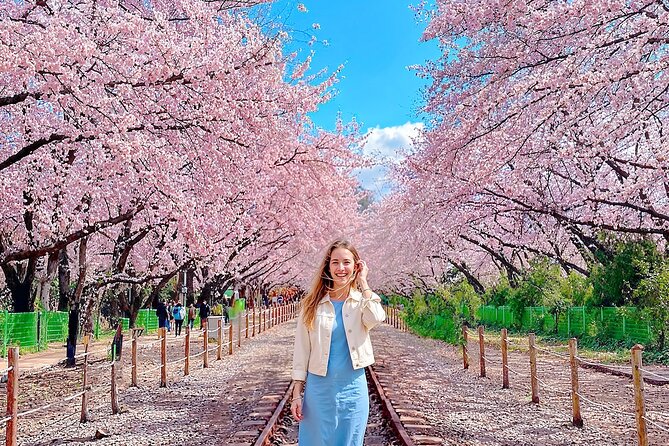 Seoul to Jinhae Cherry Blossom Festival (With Busan Drop-off) - Three hours at the Gunhangje Festival