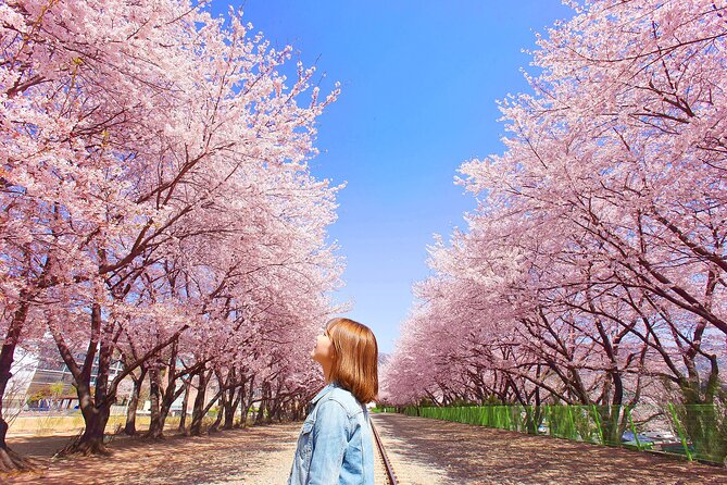 Seoul to Jinhae Cherry Blossom Festival (With Busan Drop-off) - The Busan drop-off is the clever option