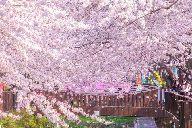 Seoul to Jinhae Cherry Blossom Festival (With Busan Drop-off) - Returning to Seoul after the festival