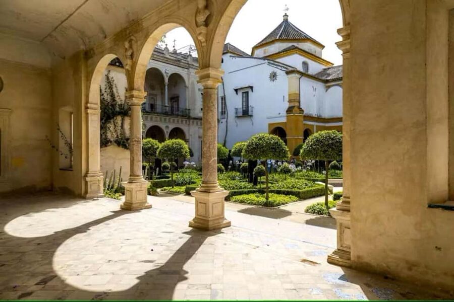 Seville: Guided Tour of Noble Houses and Grand Gardens - Palacio de Dueñas gardens and more than 1,400 artworks