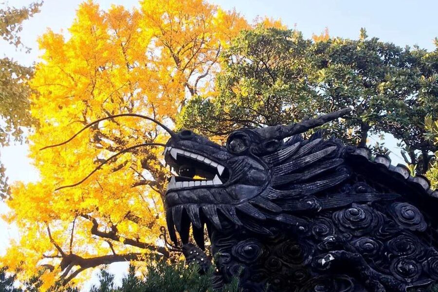 Shanghai: Yu Garden and City God Temple Walking Tour - Old City streets and the changing face of Shanghai