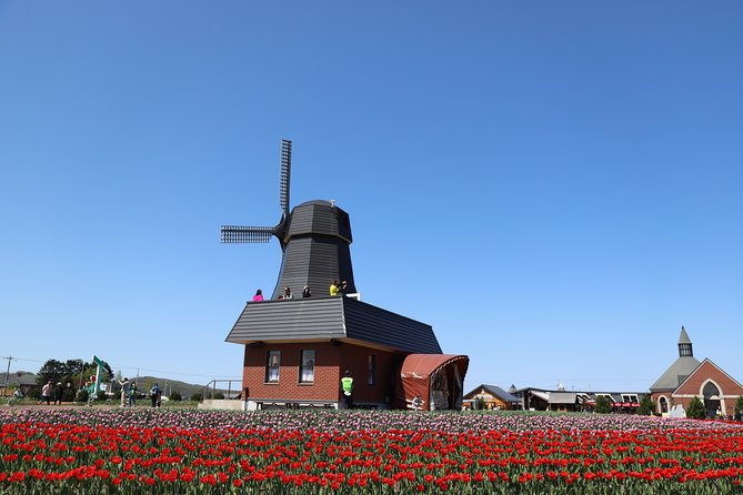 [Shibazakura / Tulip] Going by private car, Shibazakura Takinoue Park and Kamiyubetsu Tulip Park (from Sapporo) - Kamiyubetsu Tulip Park and one million flowers