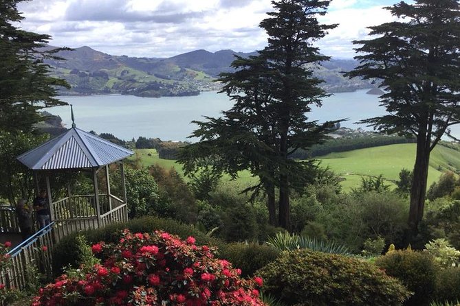 Shore Excursion: Dunedin City, Otago Peninsula, Castle Gardens & Olveston Tour - Why this Dunedin shore excursion works well