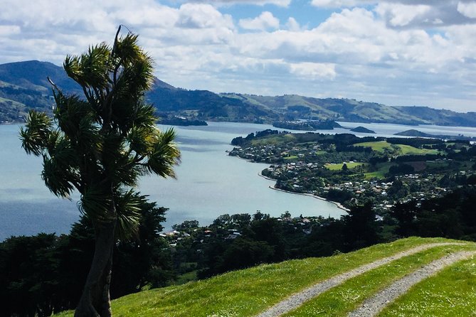 Shore Excursion: Dunedin City, Otago Peninsula, Castle Gardens & Olveston Tour - Baldwin Street, where a short stop makes sense