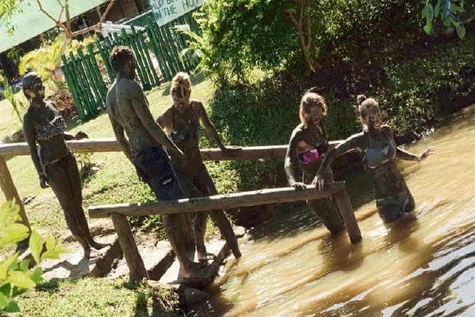 Shore Excursion-Nadi Mudpools,Sleeping Giants Gardens,Markets, Temple & Shopping - The Sabeto mud pools deliver the fun