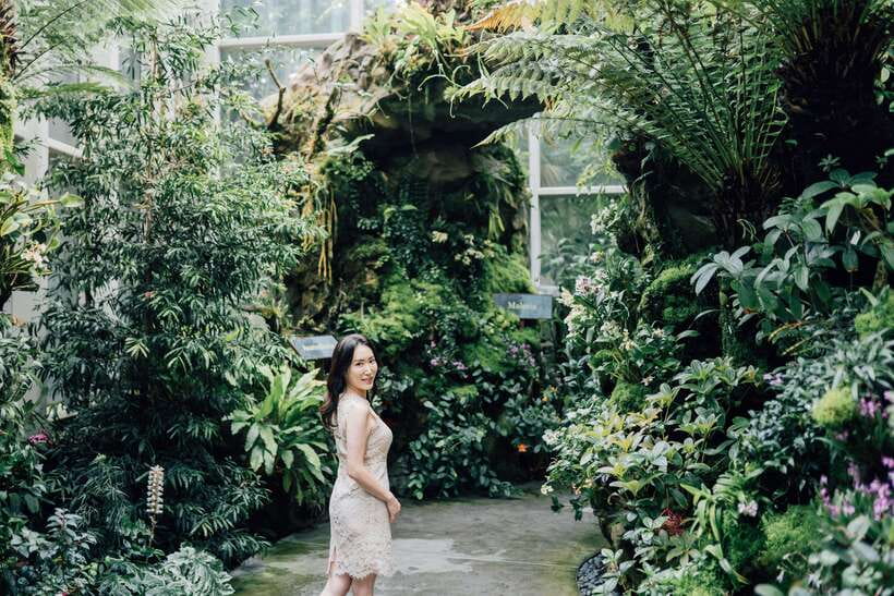 Singapore: Botanical Gardens Entry & Photography Session - A photo walk through Singapore’s green heart