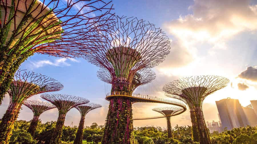 Singapore: Disney Garden of Wonder at Floral Fantasy - When should you visit?