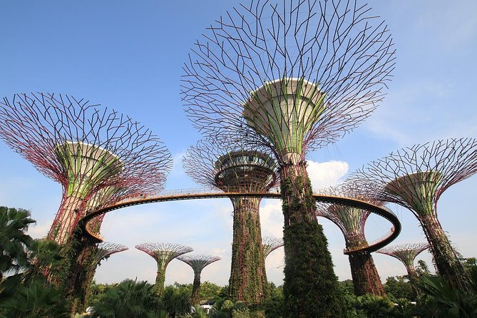 Singapore: Gardens by the Bay Admission E-Ticket - Why Gardens by the Bay earns a place on your Singapore plan