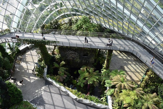 Singapore: Gardens by the Bay Admission E-Ticket - Choose the OCBC Skyway for the best Supertree views
