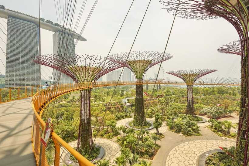 Singapore: Gardens by the Bay Admission E-Ticket - How to plan a one-day visit