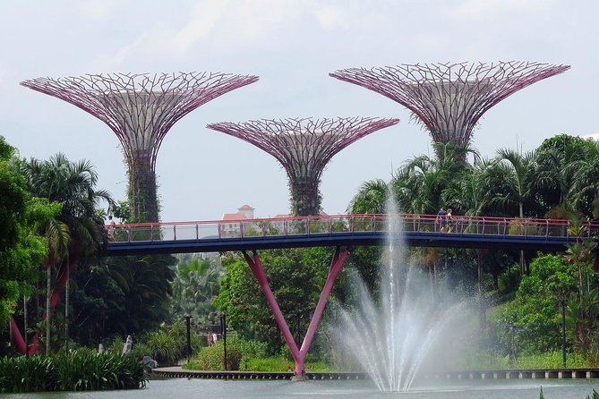 Singapore: Gardens by the Bay Admission E-Ticket - Start with the free Supertree Grove