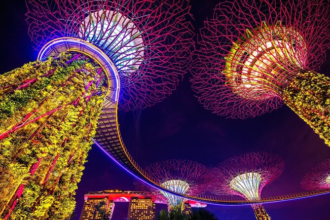 Singapore Gardens by the Bay Admission Skip-The-Line E-Ticket - Floral Fantasy’s four very different rooms