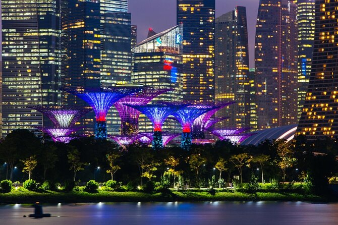 Singapore Gardens by the Bay Admission Skip-The-Line E-Ticket - Is the $17.71 price good value?