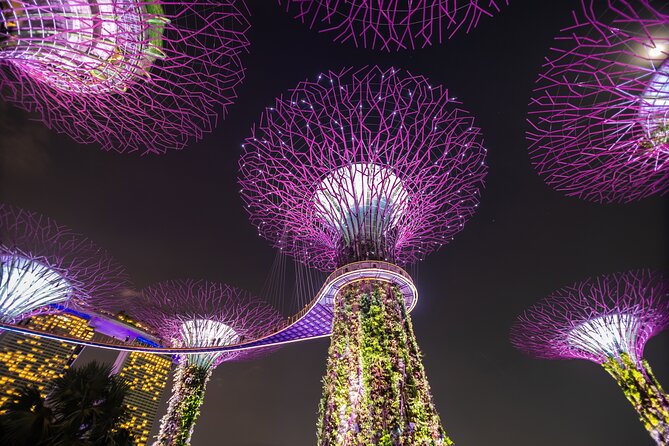 Singapore Gardens by the Bay Admission Skip-The-Line E-Ticket - Who will enjoy this most?