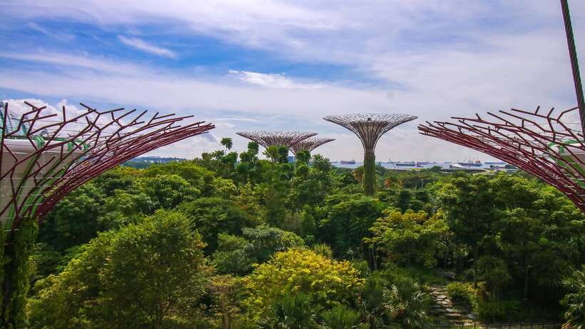 Singapore: Gardens by the Bay Bundle Entry Ticket - Why this garden feels different from a normal park