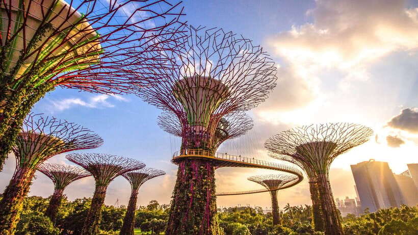 Singapore: Gardens by the Bay Bundle Entry Ticket - Cloud Forest and the waterfall at its center