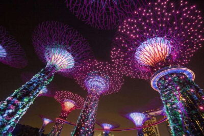Gardens by the Bay Bundle Entry Ticket