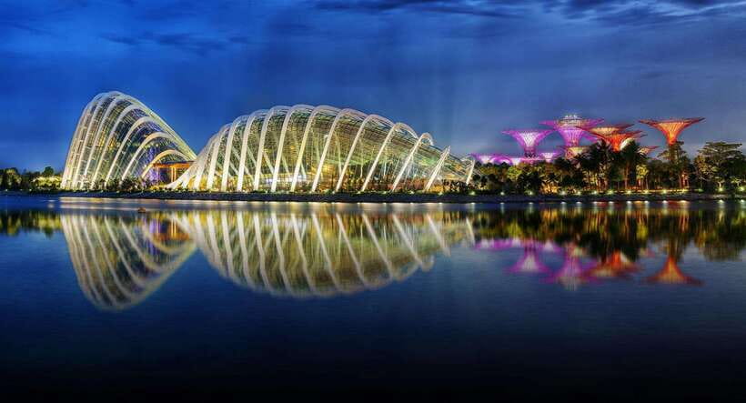 Singapore: Gardens by the Bay Bundle Entry Ticket - Supertree Observatory for Marina Bay views