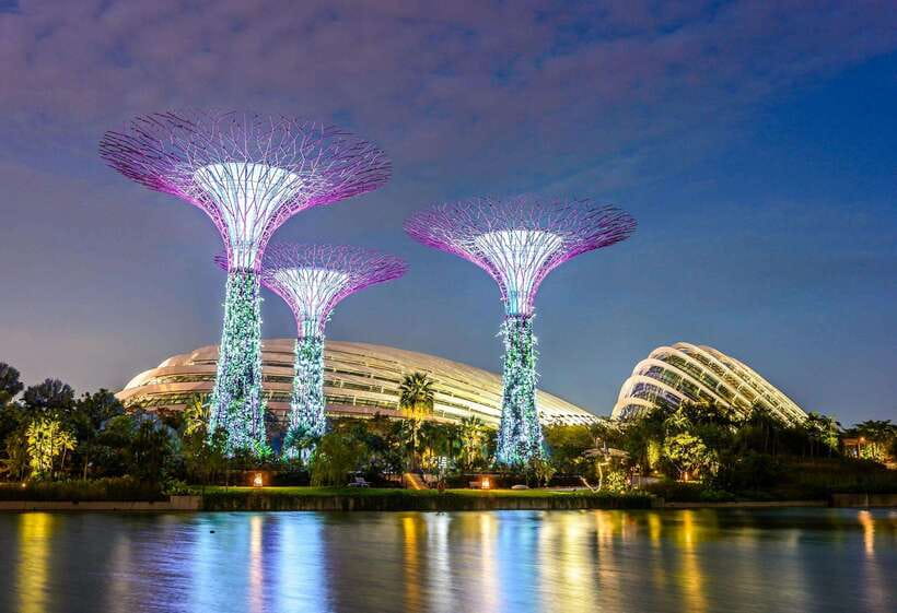 Singapore: Gardens by the Bay Bundle Entry Ticket - How to use your one day wisely