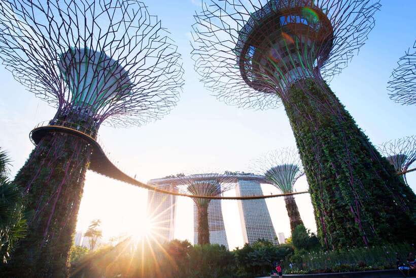 Singapore: Gardens by the Bay Guided Tour - Key details before you book
