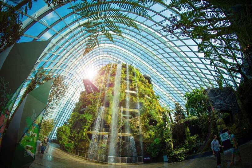 Singapore: Gardens by the Bay Guided Tour - The cool, misty Cloud Forest
