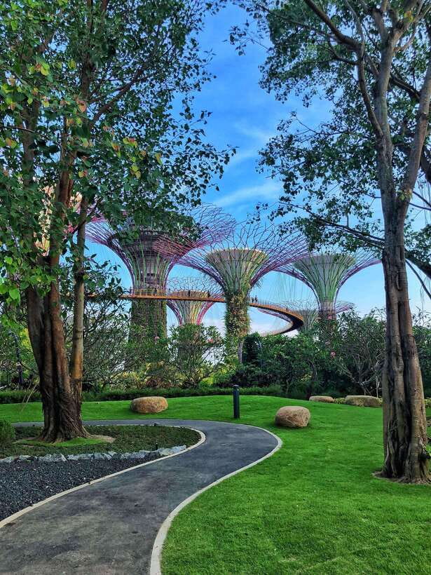 Singapore: Gardens by the Bay Guided Tour - One hour inside the Flower Dome