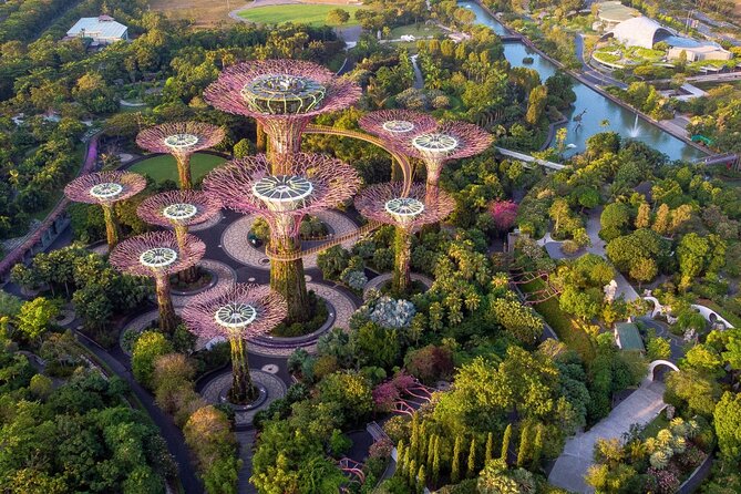 Singapore Gardens by the Bay & Jurassic World with Hotel Pick up - Pickup, group size, and pace