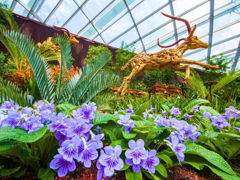 Singapore: Gardens by the Bay & Jurassic World with Pickup - Flower Dome and plants from around the world