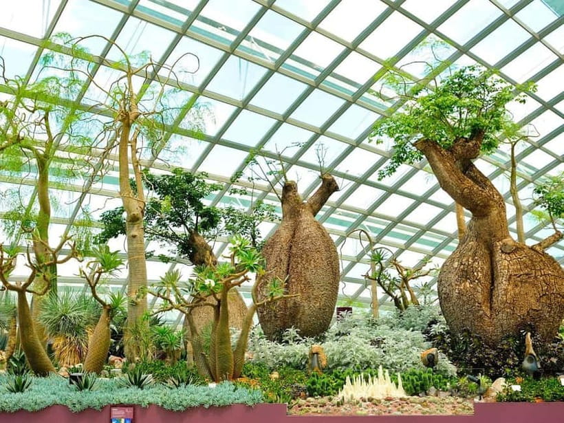 Singapore: Gardens by the Bay & Jurassic World with Pickup - Optional Jurassic World with 13 zones