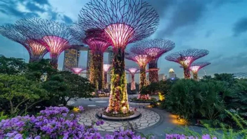 Singapore: Gardens by the Bay National Garden Day Tour - The Flower Dome: nine gardens under one roof
