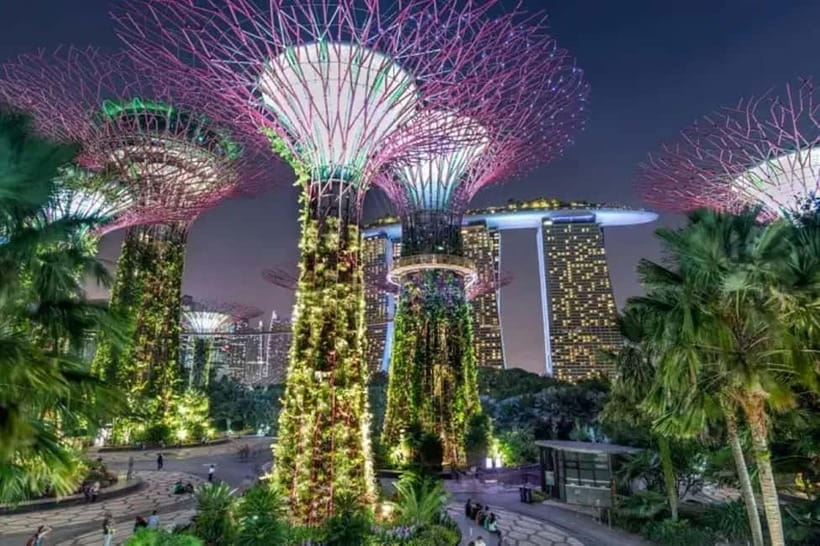 Singapore: Gardens by the Bay National Garden Day Tour - The OBCB Skyway and supertree views