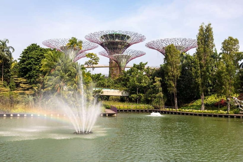 Singapore: Gardens by the Bay National Garden Day Tour - The best way to plan your visit