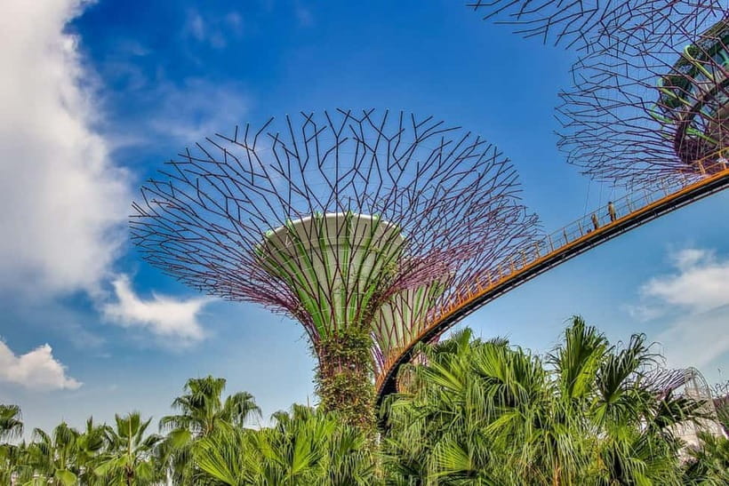 Singapore: Gardens by the Bay National Garden Day Tour - Is $54 good value?