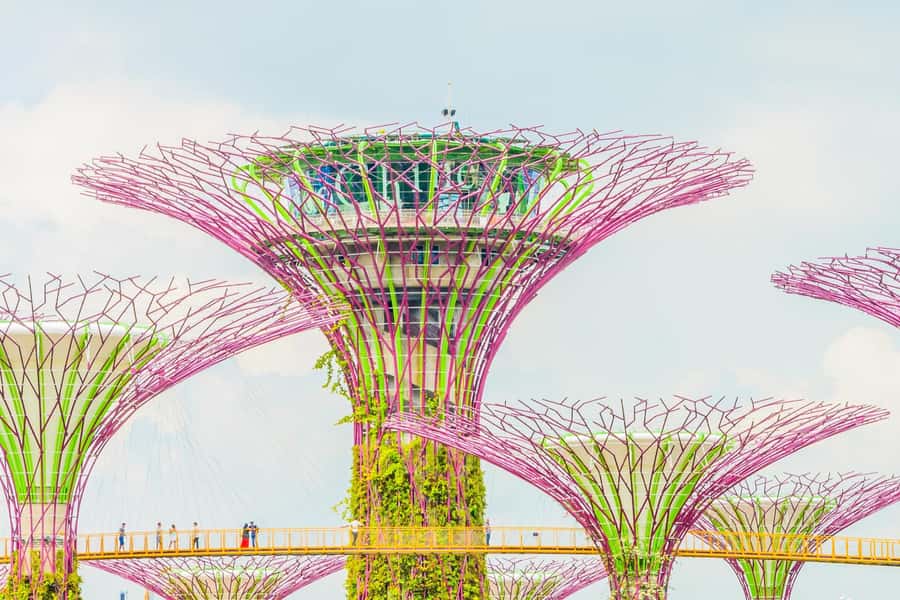 Singapore: Marina Bay Sands & Gardens By The Bay & Transfer - Is $170 per person fair?