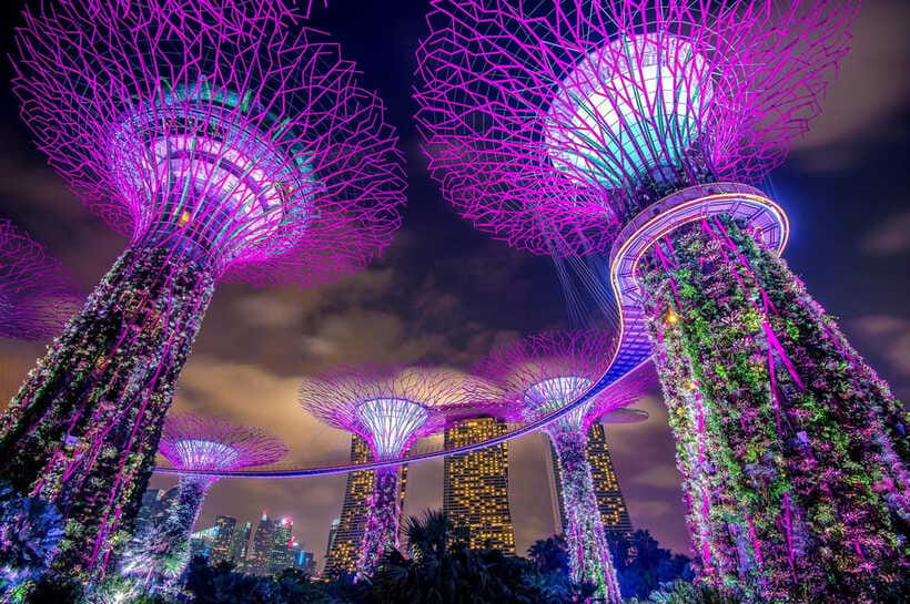 Singapore: Marina Bay Sands & Gardens By The Bay & Transfer - Who should book this experience?