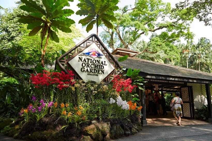 Singapore: National Orchid Garden Admission - Why Singapore’s Orchid Garden Matters