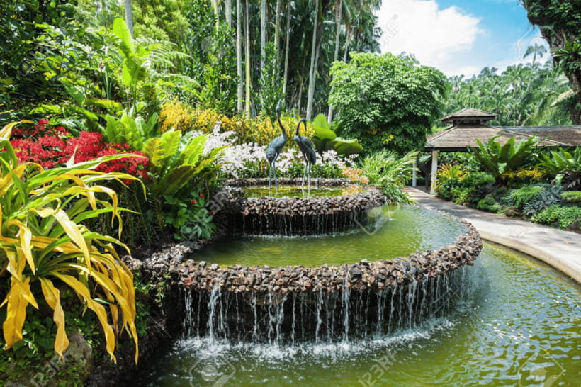 Singapore: National Orchid Garden Admission - The Orchid Breeding Story