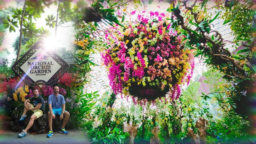 Singapore: National Orchid Garden Admission - Who Will Enjoy This Garden Most?