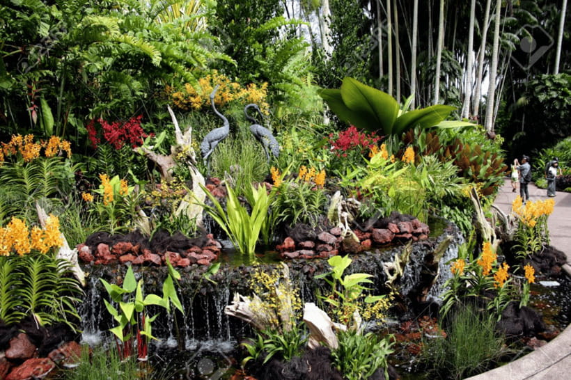 Singapore: National Orchid Garden Admission - Practical Details for a Smooth Visit