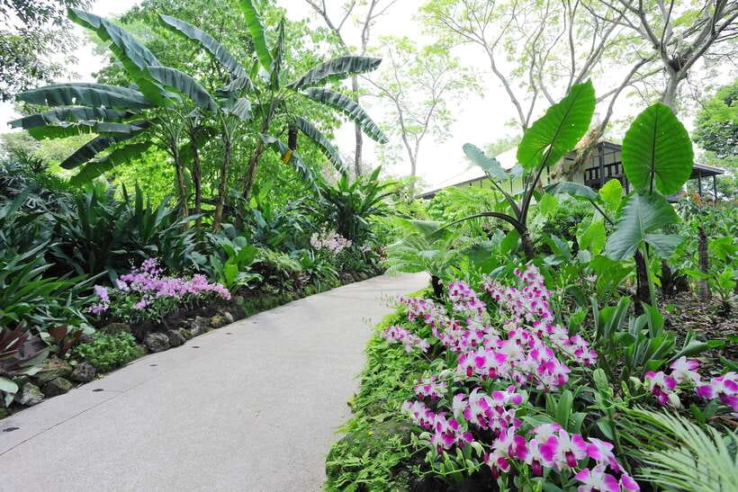 Singapore: National Orchid Garden Entry Tickets - Why the National Orchid Garden deserves your time