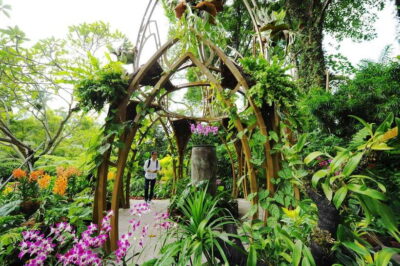 National Orchid Garden Entry Tickets
