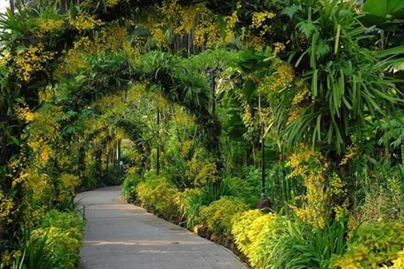 Singapore: National Orchid Garden Entry Tickets - The Summer Zone, with red and pink displays