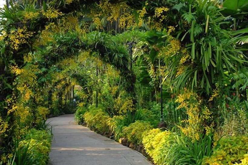 Singapore: National Orchid Garden Entry Tickets - The Autumn Zone, where the display becomes more settled