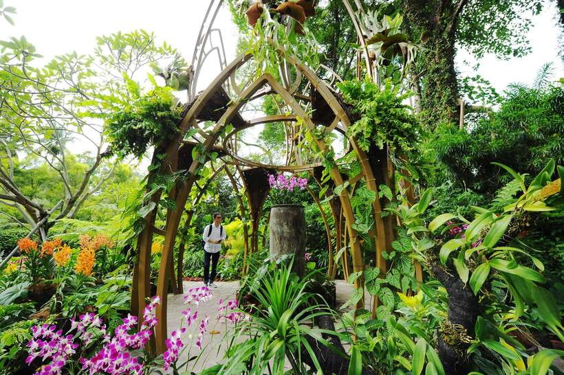 Singapore: National Orchid Garden Entry Tickets - Entering through Singapore Botanic Gardens