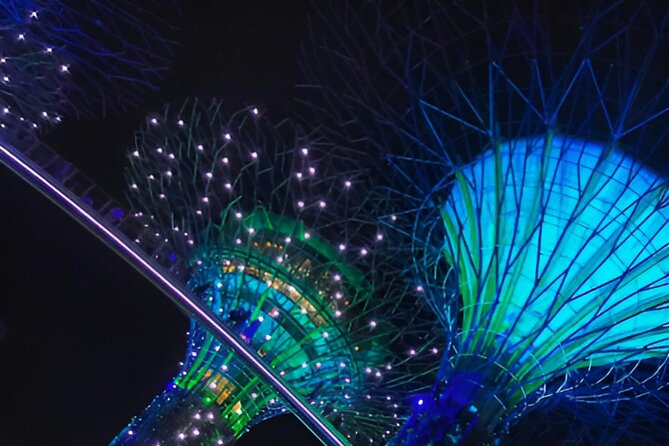 Singapore OCBC Skyway Flower dome Cloud Forest Garden by the Bay - What this $54.81 package really gives you